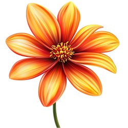 Decoración floral